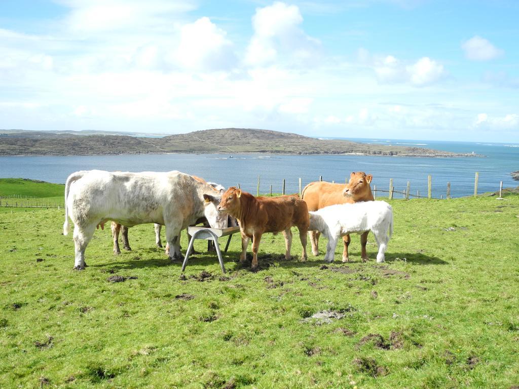 Hillside Lodge B&B Clifden Esterno foto