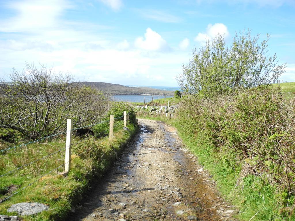 Hillside Lodge B&B Clifden Esterno foto